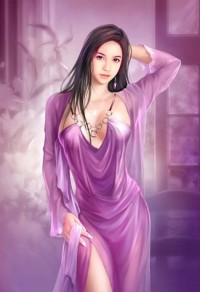 女神的全職兵王 作者：憤怒小鳥
